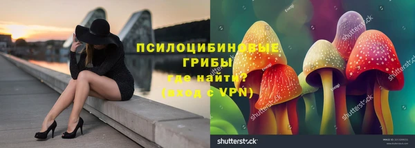 амфетамин Новодвинск