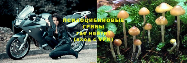 MESCALINE Новокубанск